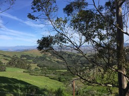 IMG_5500
