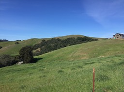 IMG_5506