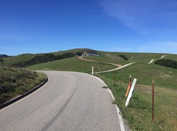 IMG_5511