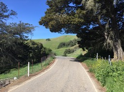 IMG_5520