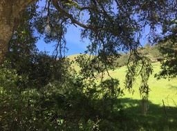 IMG_5523