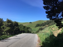 IMG_5529
