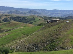 IMG_5535
