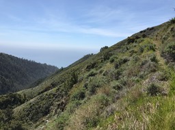 IMG_5727