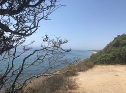 IMG_5808
