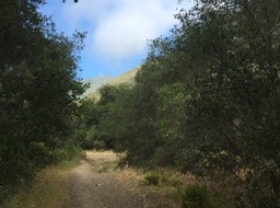 IMG_5955