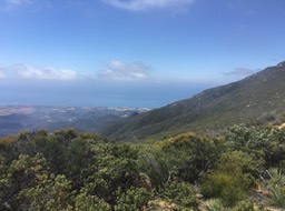 IMG_5967