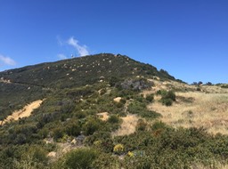 IMG_5980
