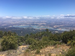 IMG_5982