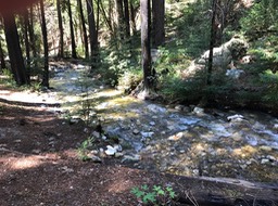 IMG_6094