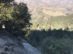 IMG_6157
