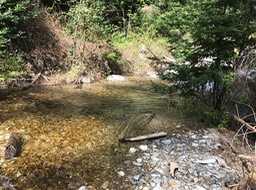 IMG_6550