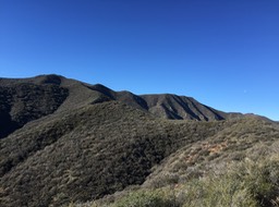 IMG_6768