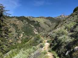 IMG_6864