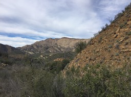 IMG_7144
