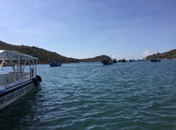IMG_7937