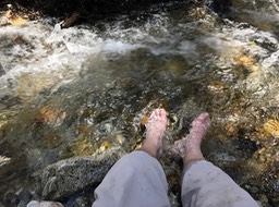 IMG_8066