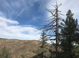 IMG_8083