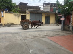 IMG_8387