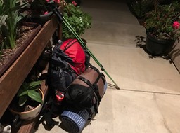 IMG_8464