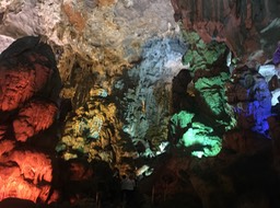 IMG_8561
