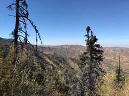 IMG_8592