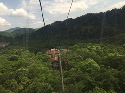 IMG_8637