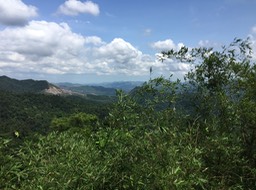 IMG_8695