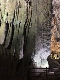 IMG_8978