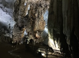 IMG_8980