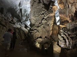 IMG_8984