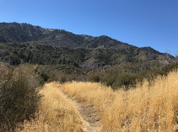 IMG_9583