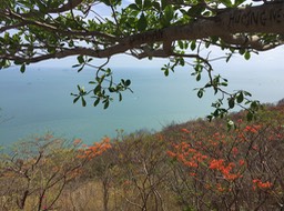 IMG_9629