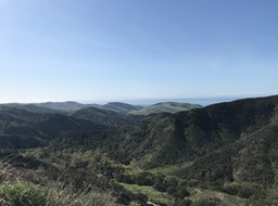 Refugio P_22