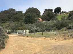 Refugio P_41