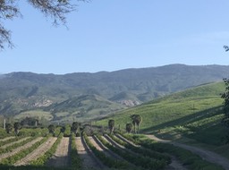 Refugio P_4