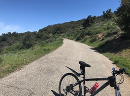 Refugio P_50