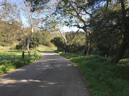 Refugio P_5