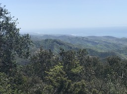 Refugio P_62