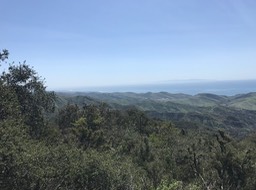 Refugio P_64