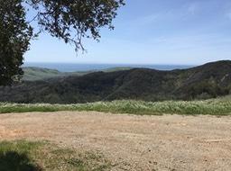 Refugio P_91