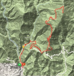 Specific area