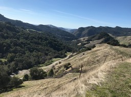 SR Creek 2 _13