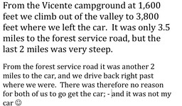 Vicente