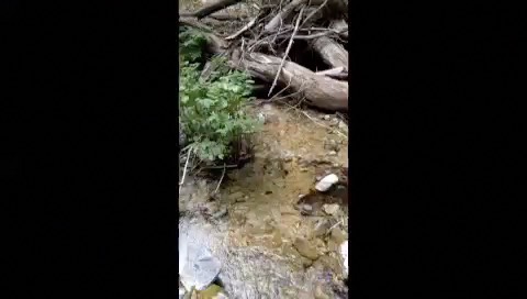 water-3