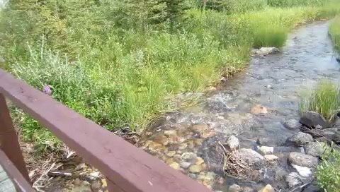 water-hope-2