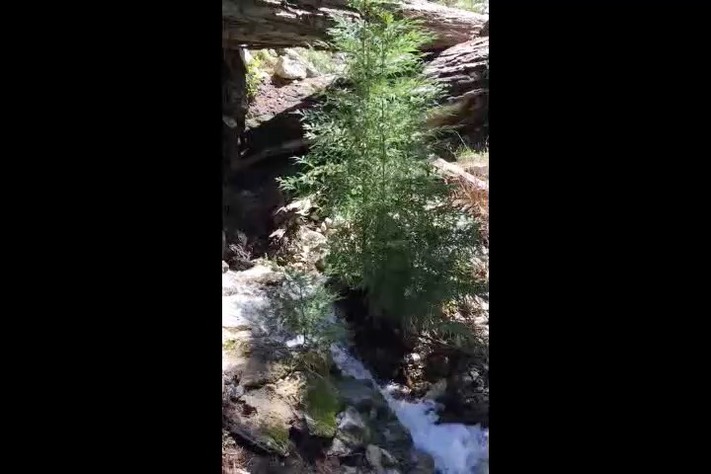 water1