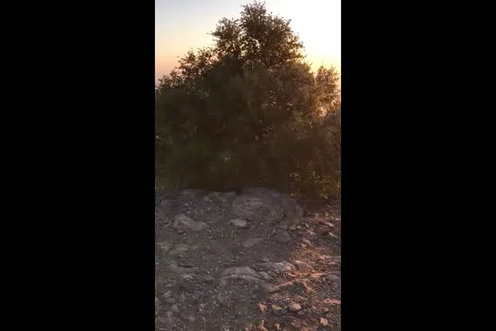 wind1
