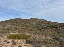 IMG_1109
