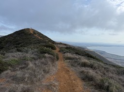 IMG_1152